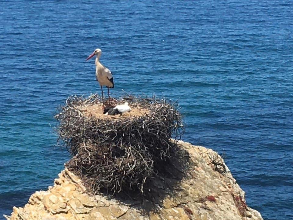 Alojamento Sudoeste Otel Formia Dış mekan fotoğraf